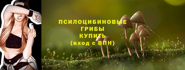 альфа пвп Лиски