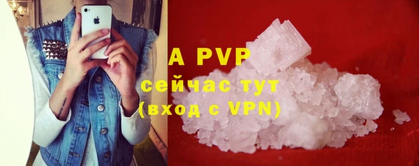 гидра Липки