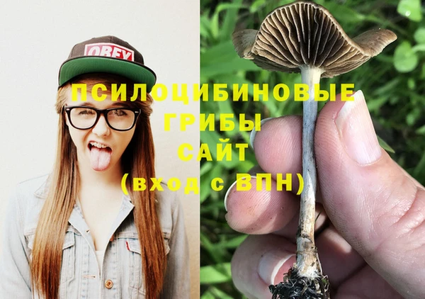 гидра Липки