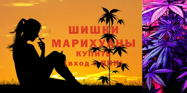 гидра Липки